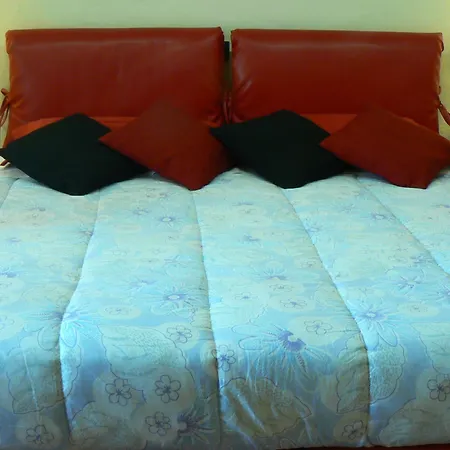 Thalassa E Arcidosso