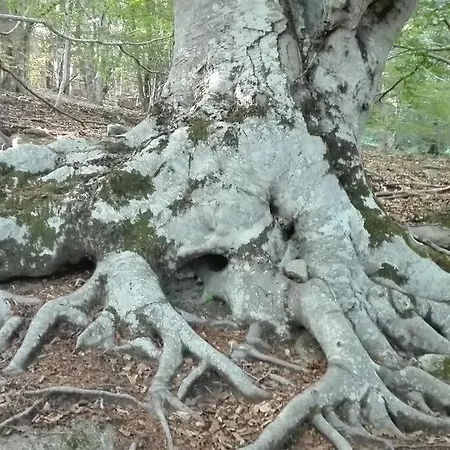 Thalassa E 3* Arcidosso